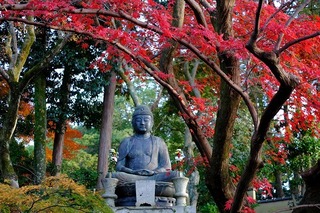 DSCF5752.jpg
