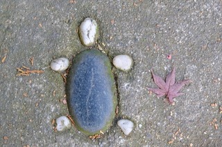 DSCF5761.jpg