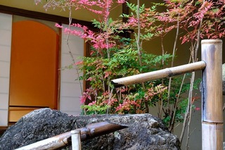 DSCF5769.jpg