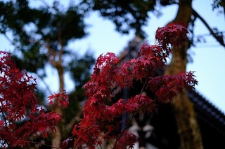 DSCF5776.jpg