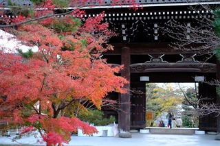 DSCF5779.jpg