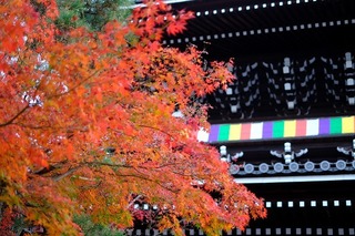 DSCF5780.jpg
