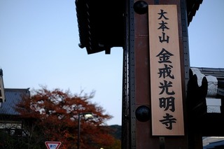 DSCF5782.jpg