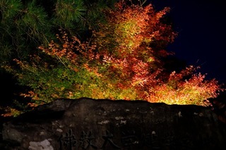 DSCF5788.jpg