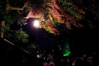DSCF5793.jpg