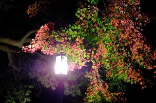 DSCF5794.jpg