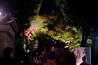 DSCF5802.jpg