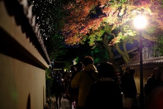 DSCF5806.jpg