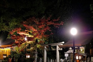 DSCF5810.jpg