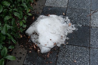 DSCF6137.jpg