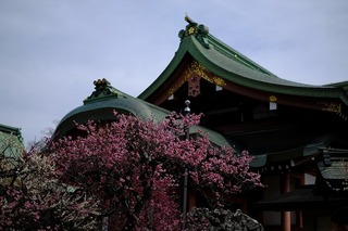 DSCF6459.jpg