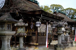 DSCF6461.jpg