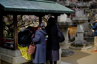 DSCF6462.jpg