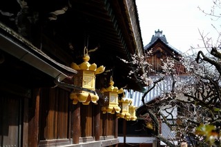 DSCF6465.jpg