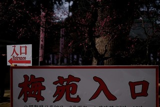 DSCF6485.jpg