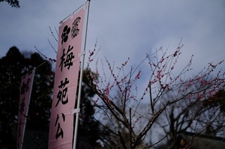 DSCF6486.jpg