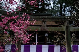 DSCF6494.jpg