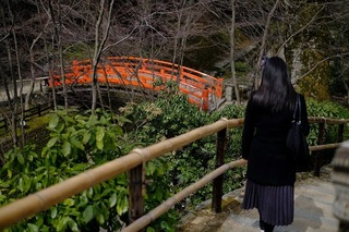 DSCF6499.jpg