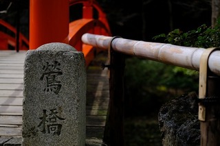 DSCF6500.jpg