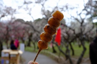 DSCF6540.jpg