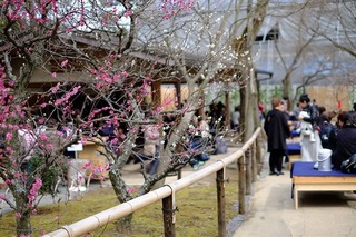 DSCF6541.jpg