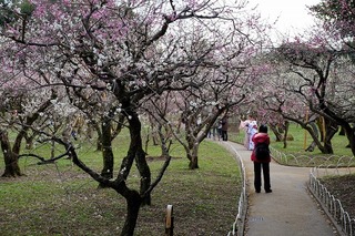 DSCF6543.jpg