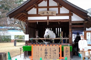 DSCF6564.jpg
