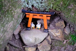 DSCF6584.jpg