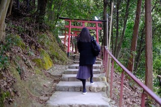 DSCF6585.jpg