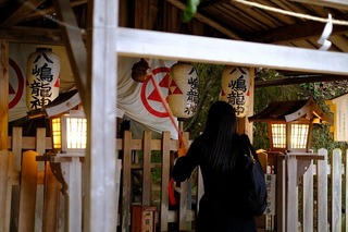 DSCF6586.jpg