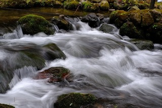 DSCF6597.jpg