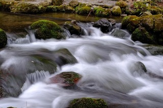 DSCF6602.jpg