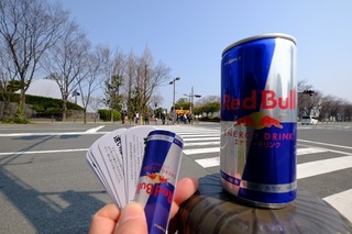 DSCF6609.jpg