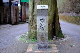 DSCF6687.jpg