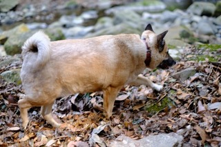 DSCF6702.jpg