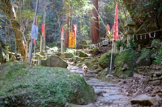 DSCF6703.jpg