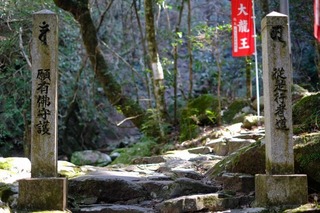 DSCF6706.jpg