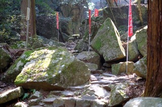 DSCF6707.jpg