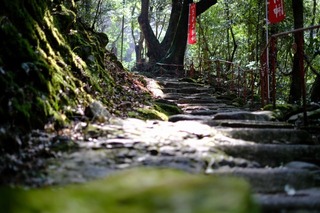 DSCF6720.jpg
