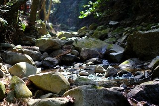 DSCF6726.jpg