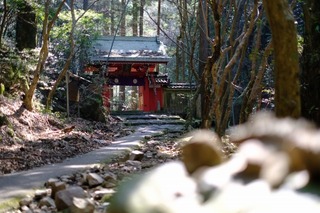 DSCF6727.jpg
