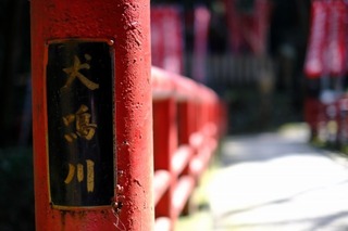 DSCF6738.jpg