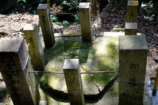 DSCF6758.jpg