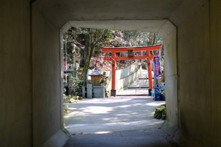 DSCF6759.jpg
