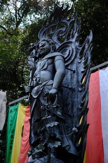 DSCF6774.jpg
