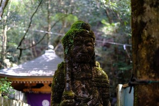DSCF6783.jpg