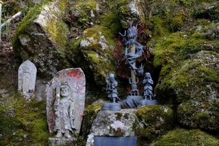 DSCF6787.jpg