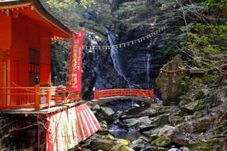 DSCF6791.jpg