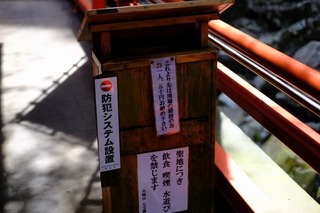 DSCF6792.jpg