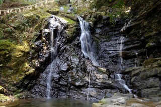 DSCF6796.jpg